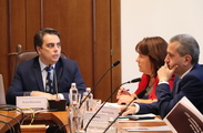 Third Public Council under the Minister of Finance