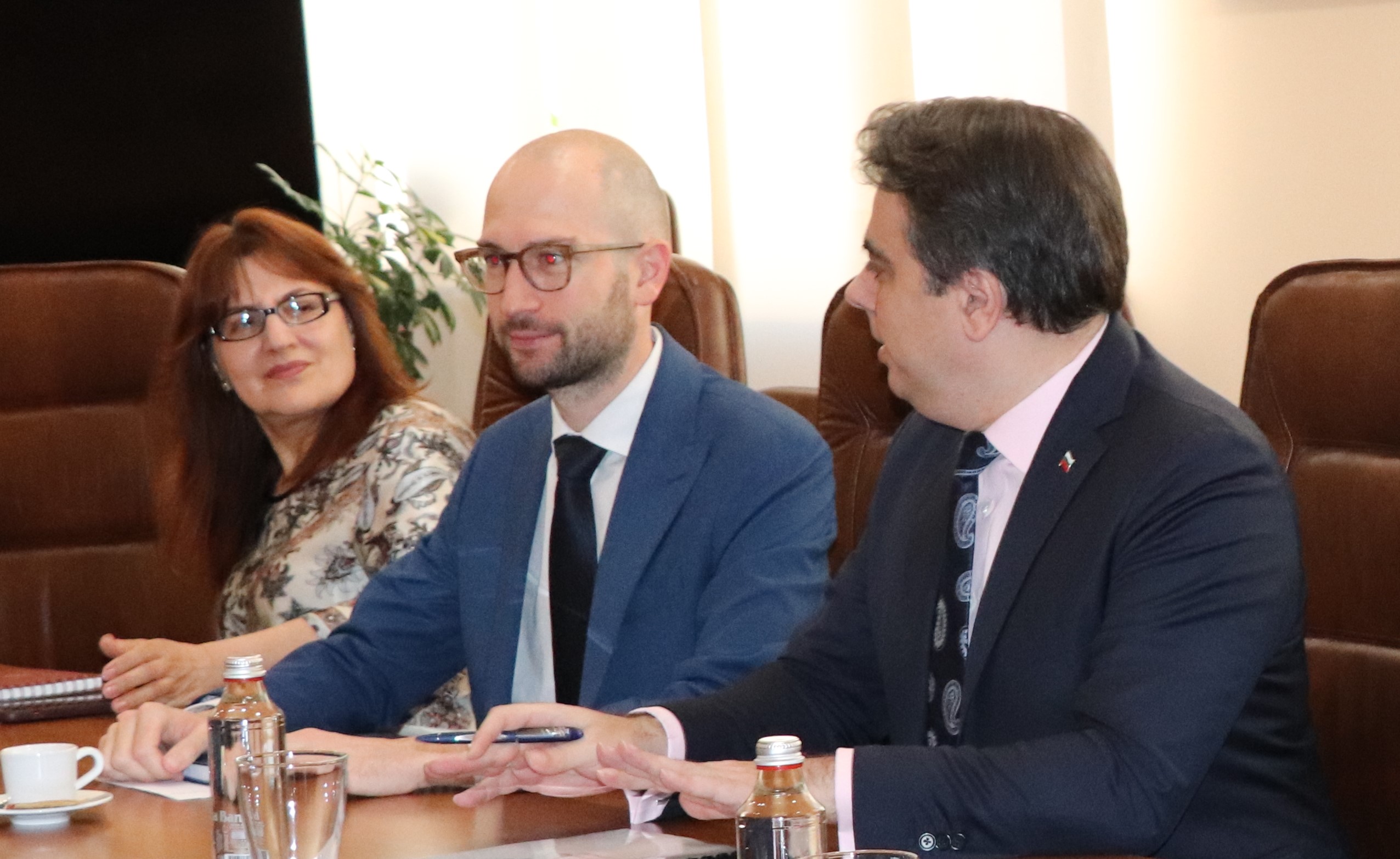 IMF Expert Visit to Bulgaria